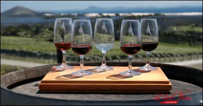 Qu'appelle-t-on une dégustation verticale ?