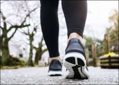 Quel est ce moyen de transport ?