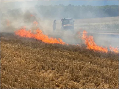 Qui accuse Thomas de la "boucherie" qu'ont fait les Griffeurs dans le Bloc ?