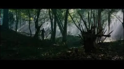 Alors qu'il part chercher du fumier pour Newt et un autre blocard dans la forêt, par qui Thomas se fait-il agresser ?