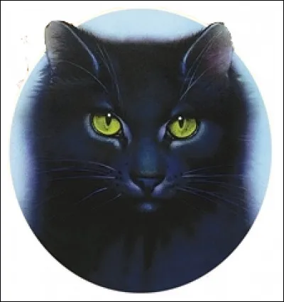 Qui est Feuille de Houx ?