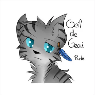 Qui est l'ancienne réincarnation de Œil de Geai ?