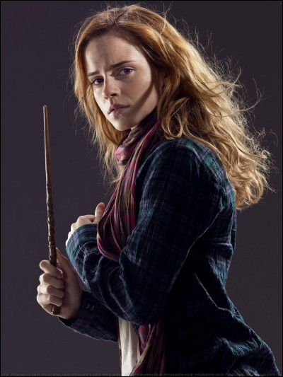 Hermione Granger est le personnage principal.