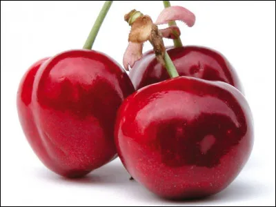 À qui appartient la devise "Dieu aide au premier baron chrétien" ?