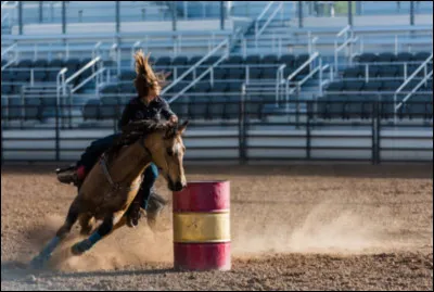 Comment s'appelle ce jeu équestre ?