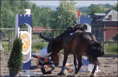 Dans les centres équestres quand il se passe cette chose que doit faire le cavalier ?