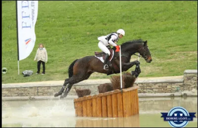 Quelles épreuves y a-t-il au concours complet ?