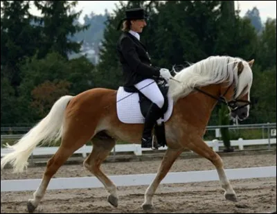 Comment s'appelle cette discipline ?