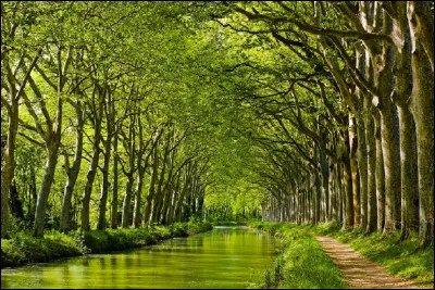''Le canal du Midi'' relie quelle ville à la mer Méditerranée ?