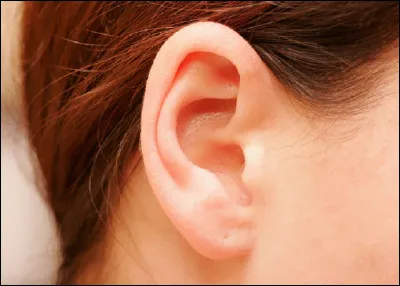 Quel est l'autre nom du canal auriculaire ?