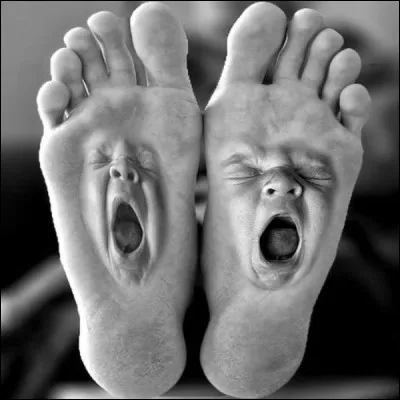 Qui a dit : S'endormir au volant, c'est tr&egrave;s dangereux, s'endormir &agrave; v&eacute;lo, c'est tr&egrave;s rare, s'endormir &agrave; pied, c'est tr&egrave;s con ?