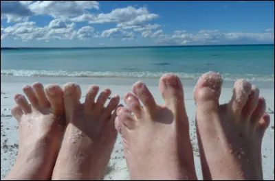 Depuis 1959, le pied, qui est l'unit&eacute; de mesure la plus ancienne de l'humanit&eacute; (avec la coud&eacute;e et le doigt), mesure :