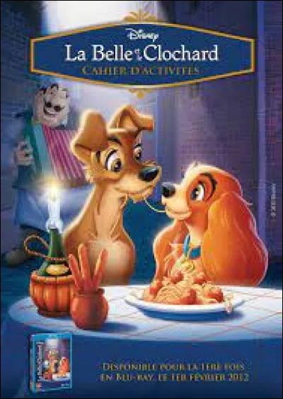 "La Belle et le Clochard" : Dans le film, où se situe la chanson "Belle Nuit" ?