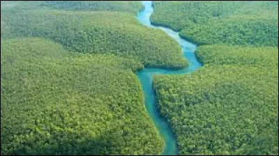 À quel pays peut-on comparer la surface de la forêt d'Amazonie ?