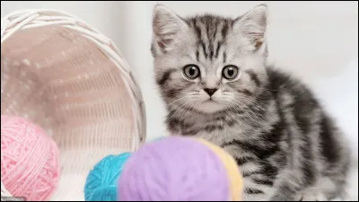 Pour finir où habite le clan du Ciel ?