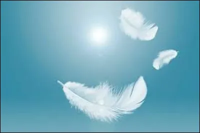 Un peu de douceur ne fait pas de mal.