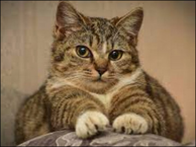 Sa famille est celle :