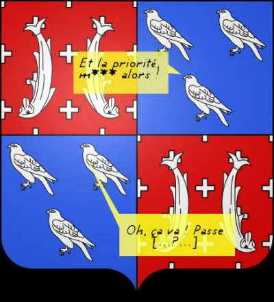 Parfois, ce sont des vrais, les faucons !