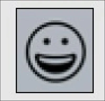 Et pour finir, à quoi sert ce joyeux drille sur votre écran ?