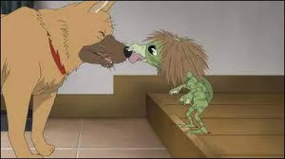 Le chien apprend quelque chose à Coo, mais que lui apprend-il ?