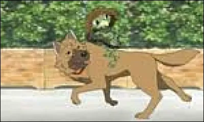 Lors de la course-poursuite, qu'arrive-t-il à Chef ?