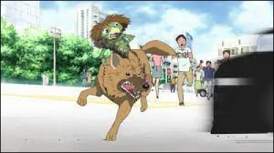 Comment Coo va-t-il à cette adresse ?