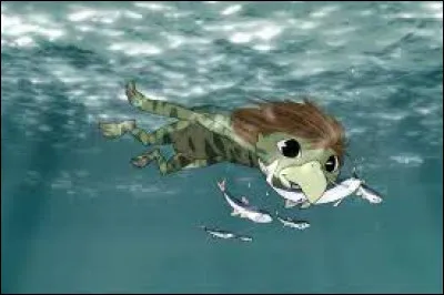 Où Koichi trouve-t-il Coo ?