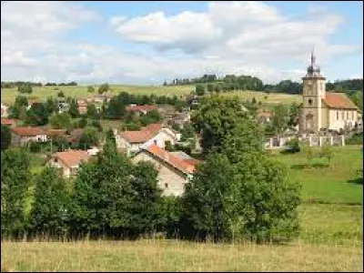 Petit tour dans le Grand-Est, à Entre-deux-Eaux. Village de l'aire d'attraction Déodatienne, il se situe dans le département ...