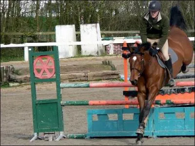 Comment s'appelle la dernire phase du saut ?