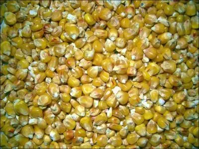 Comment s'appelle cet aliment ?