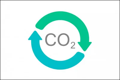 Il y a une forte présence de dioxyde de carbone dans la grotte de Lascaux.