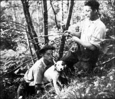 Quel animal serait à l'origine de la découverte de la grotte de Lascaux ?