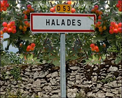 Un petit rébus pour trouver le nom de ce slameur : mon premier est en arrière plan et mon second au premier (plan) ! Alors ?