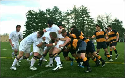 Au rugby, le maul (ou mêlée ouverte ou ballon porté), contrairement à une mêlée est un regroupement spontané. Mais que désigne son homophone "môle" ?