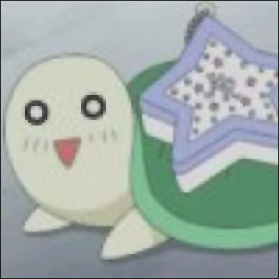 Comment s'appelle cette tortue ?