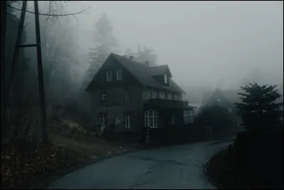 Qu'est-ce qui n'est pas présent sur la photo ?