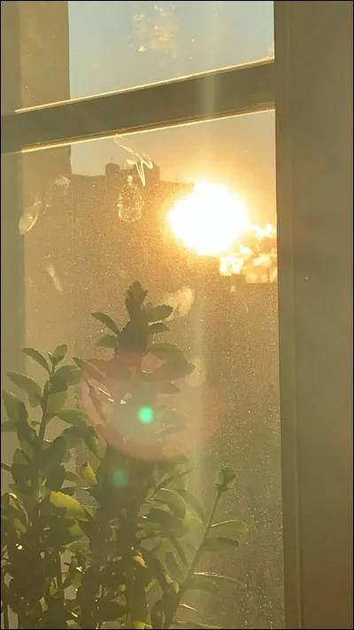 Un mot parmi ces quatre n'a rien à faire là. Lequel est-ce ?