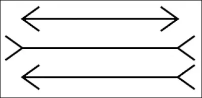 Quelle est la ligne la plus longue ?