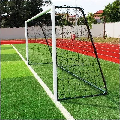 Quel chanteur, ancien gardien de but de football, a sorti la chanson "Je n�ai pas chang&eacute;" ?