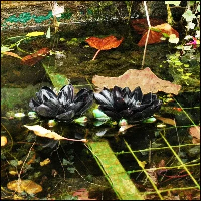 Quel &eacute;crivain a publi&eacute; le polar "Nymph&eacute;as noirs" ?