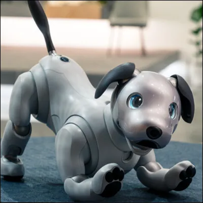 Quelle grotte, surnomm&eacute;e la "chapelle Sixtine de l�art pari&eacute;tal", aurait &eacute;t&eacute; d&eacute;couverte gr&acirc;ce &agrave; un chien nomm&eacute; Robot ?