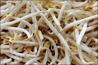 Comment pousse le soja ?