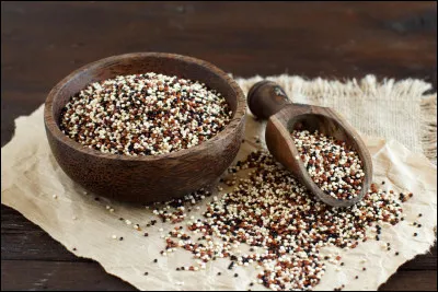 Comment pousse le quinoa ?