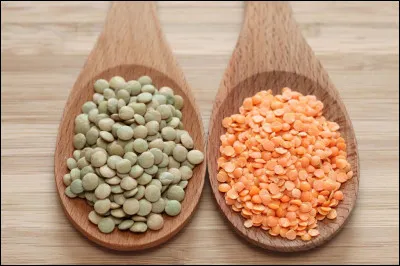 Comment poussent les lentilles ?