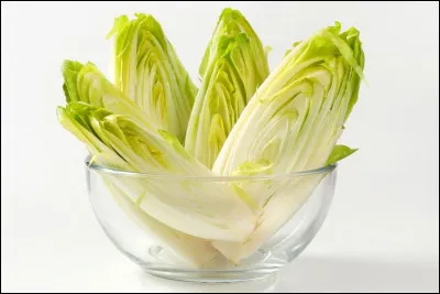 Comment poussent les endives ?