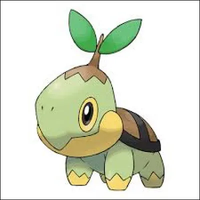 Quelle est lévolution de Tortipouss ?