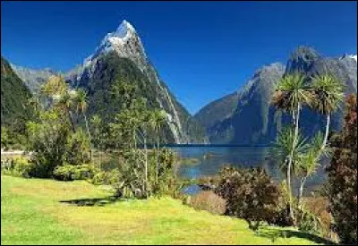 La drapeau de la Nouvelle-Zélande a-t-il plus ou moins d'étoiles que le drapeau de l'Australie ?