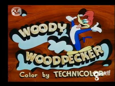 En quelle année le dessin animé "Le Woody Woodpecker Show" est-il diffusé aux Etats-Unis ?