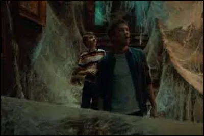 À quelle série appartient cette image ?