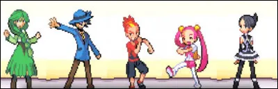 Quelles propositions contiennent au moins un type qui n'est jamais utilisé par un dresseur partenaire ? (Hors matchs à l'Aire de Survie et combats multi à la Tour de Combat) (2 réponses)